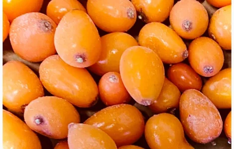 Продам обліпиху заморожену