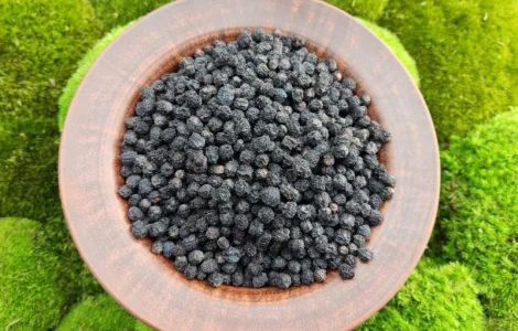 Аронія сушена, горобина чорноплідна, арония черноплодная