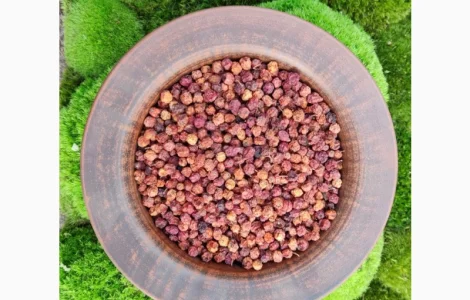 Горобина, червоноплідна горобина, рябина