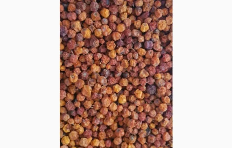 Продам рябину красную (сухую)