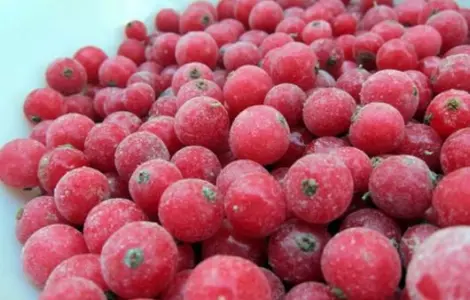 Куплю смородину замороженную смородина