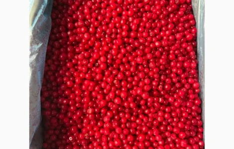 Порічка заморожена