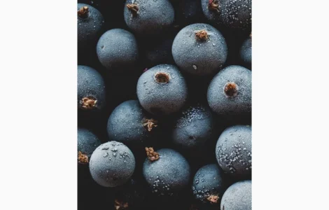 Закуповуємо заморожену чорну смородину