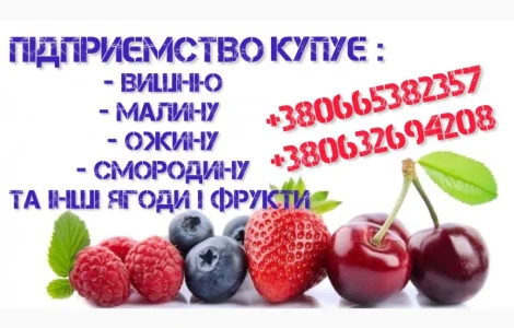 Куплю чорну смородину