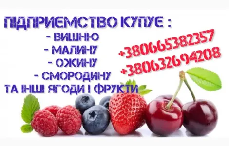 Куплю чорну смородину