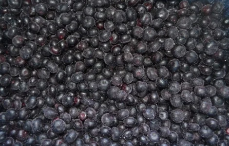 Черника Афини