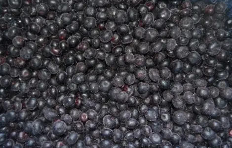 Черника Афини