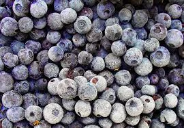 Купимо заморожену чорницю, від 10 тонн по всій Україні