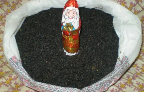 Чорниця / Черника сушена - ягоди - Карпати. Доставка по Києву - безплатно