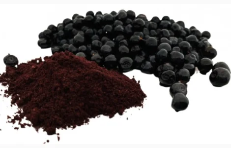 Продам порошок з чорниці