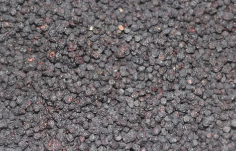 Чорниця сушена