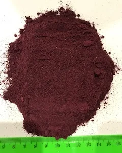 Чорниця сушена (порошок)