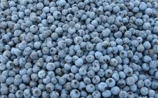 Реалізуємо заморожену чорницю оптом від 5 т
