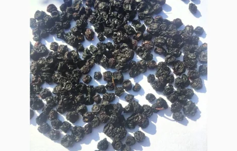 Чорниця сушена | Черника сушеная