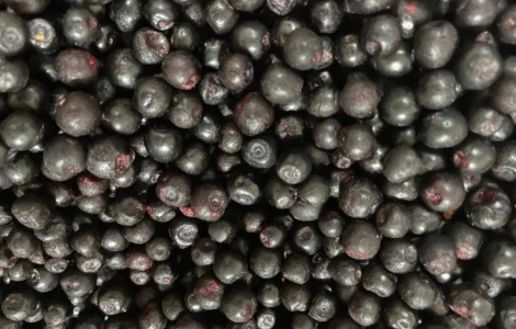 Чорниця заморожена 2024 року