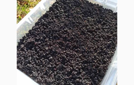 Продам сушену чорницю хорошої якості