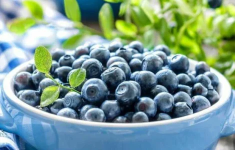 Продам сушену чорницю