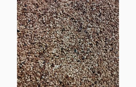 Продам косточку шиповника, Днепр