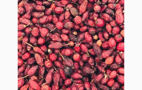 Продам шиповник