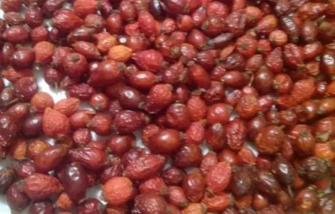 Продам ягоди шипшини