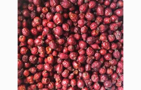 Продам шипшину