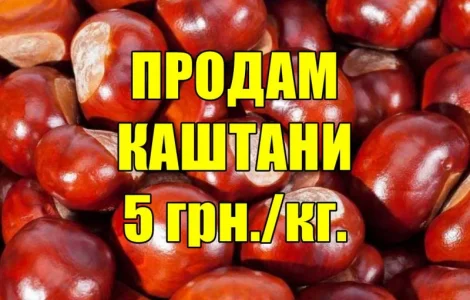 Продам каштани