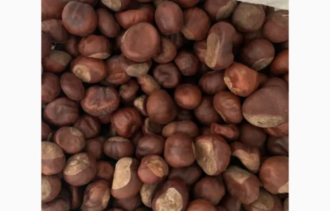 Продам сушений каштан