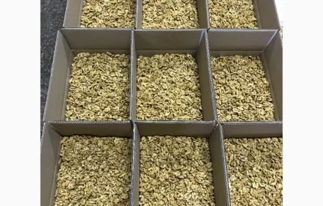 Продам ядро грецкого ореха оптом от 1т