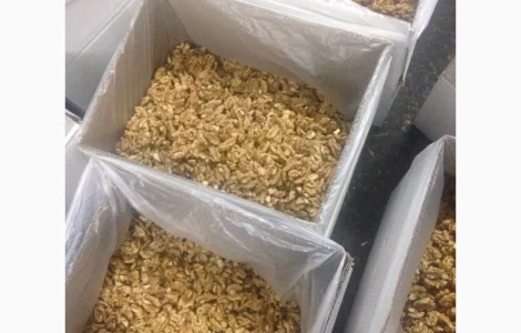 Продам ядро цельного грецкого ореха от производителя от 20 тонн