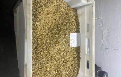 Продам чисту горіхову крихту 4-6 мм