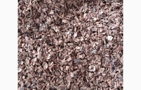 Покупаем скорлупу грецкого ореха