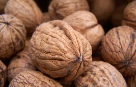 Продам Грецкий орех, 1.5 тон