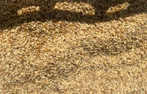 Продам крошку размер 3-5, 5-8