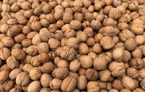 Продам волоський горіх оптом