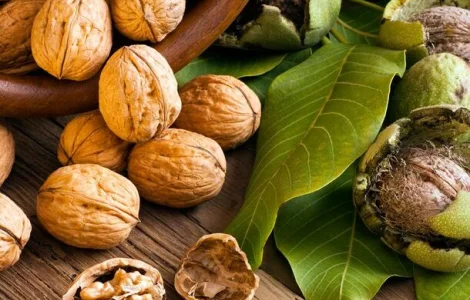 Продам волоський горіх 5/10/15/20 тон