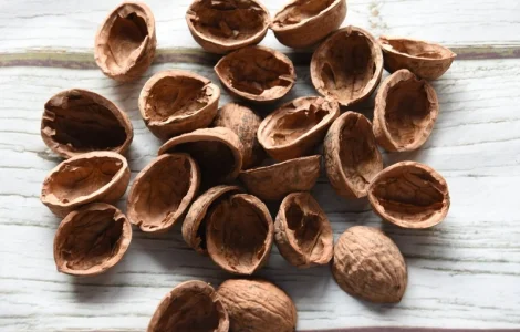 Купим оптом скорлупу грецкого ореха