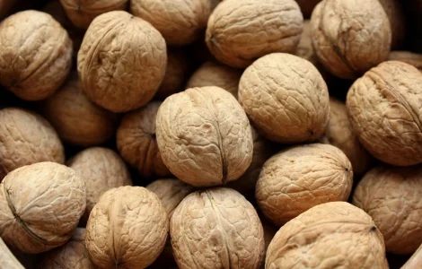 Грецький горіх (кругляк), Бойний. без довбуна, 3т