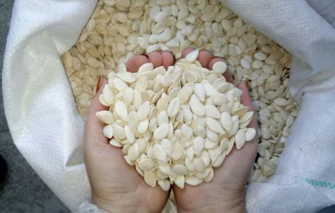 Куплю грецкий орех и тыквенные семечки