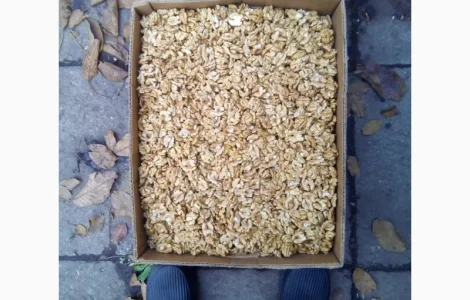 Продам ядро грецкого ореха