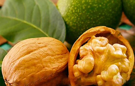 Продам горіх сухий2024року