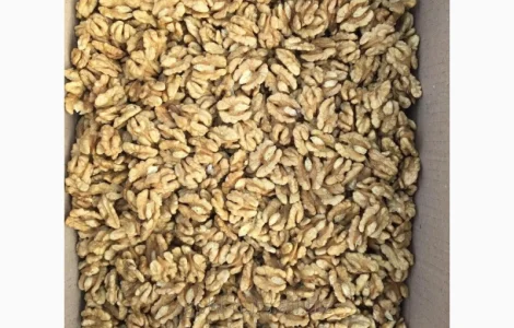 Куплю ядро волоського горіха