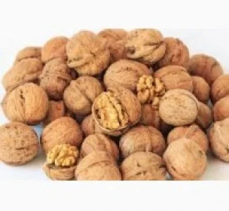 Куплю горіх грецький цілий