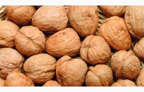 Продаю Грецький горіх у будь якому обсязі