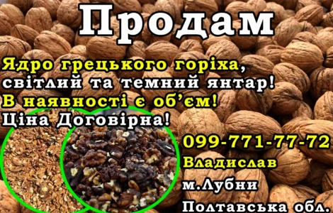 Продам ядро грецького горіха (янтар/темний янтар) Ціна Договірна! Є обєм