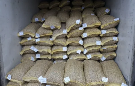 Куплю цілий грецький горіх