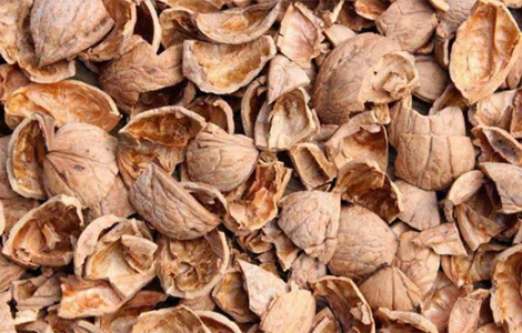 Продам шкаралупу волоського горіху