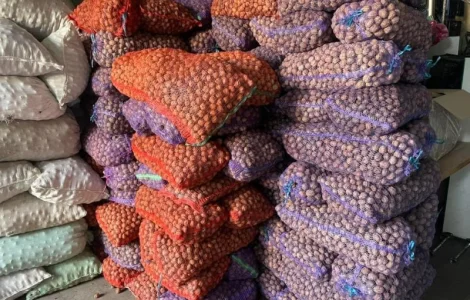 Куплю горіх(гурт)