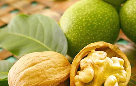 Куплю грецький горіх