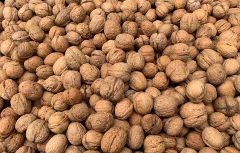 Куплю целый грецкий орех