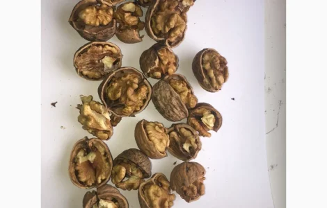 Куплю цілий горіх